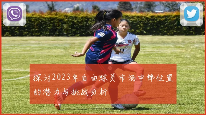 探讨2023年自由球员市场中锋位置的潜力与挑战分析
