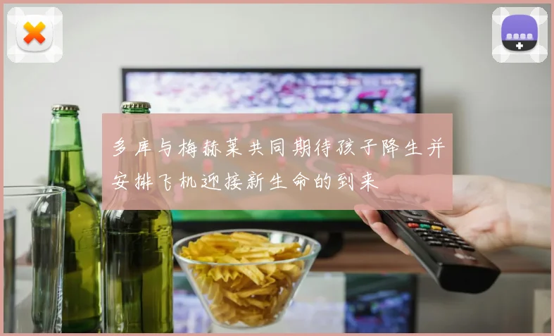 多库与梅赫莱共同期待孩子降生并安排飞机迎接新生命的到来
