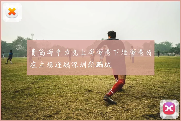 青岛海牛力克上海海港下场海港将在主场迎战深圳新鹏城