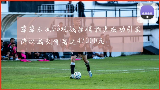 霉霉东决G3观战座椅拍卖成功引发热议成交价高达47000元